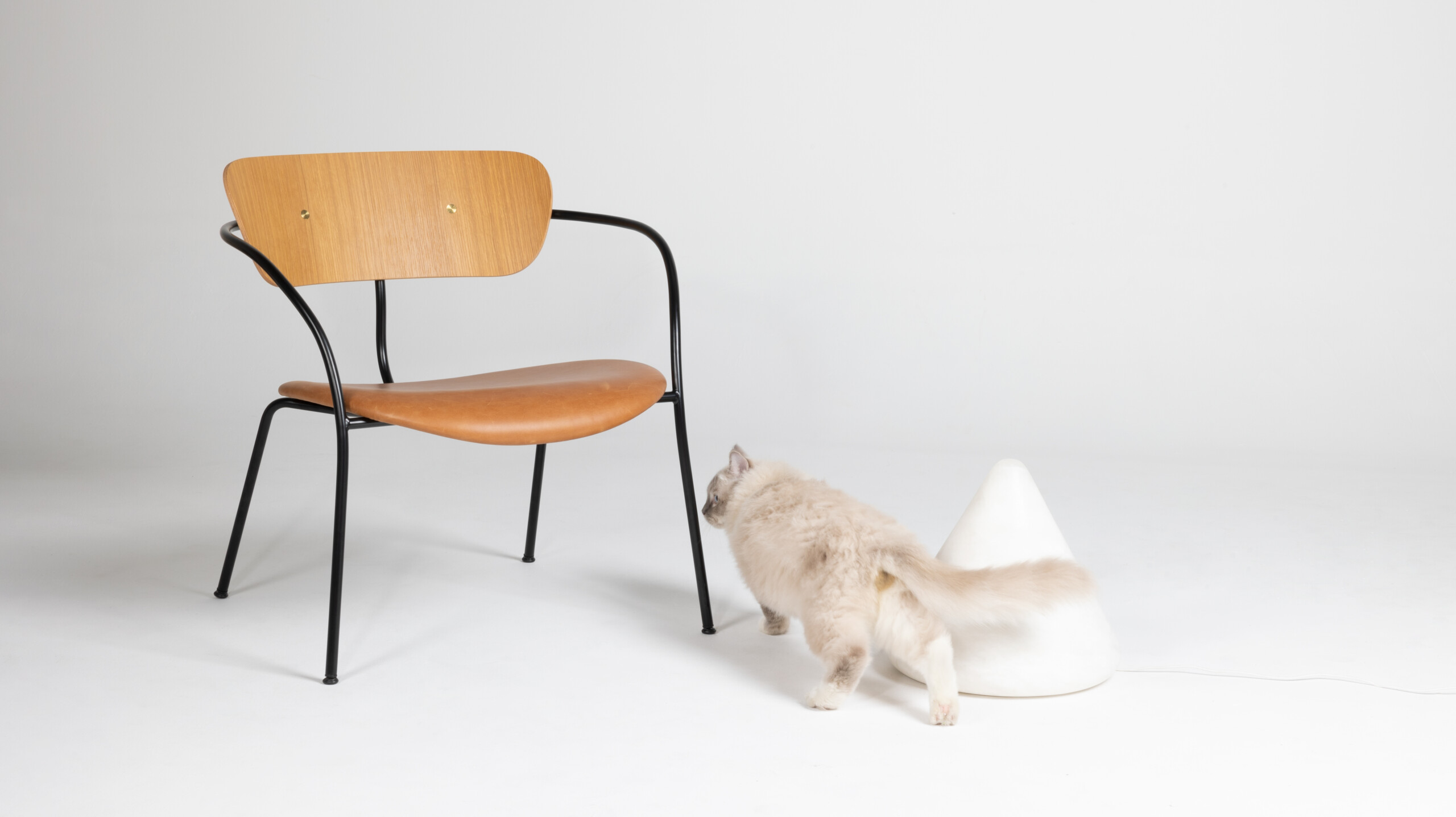 lamps and lanterns，Original design，originality，