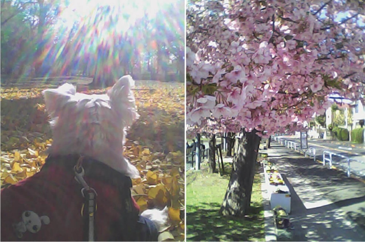 Digital camera，Filter，Pieni M，