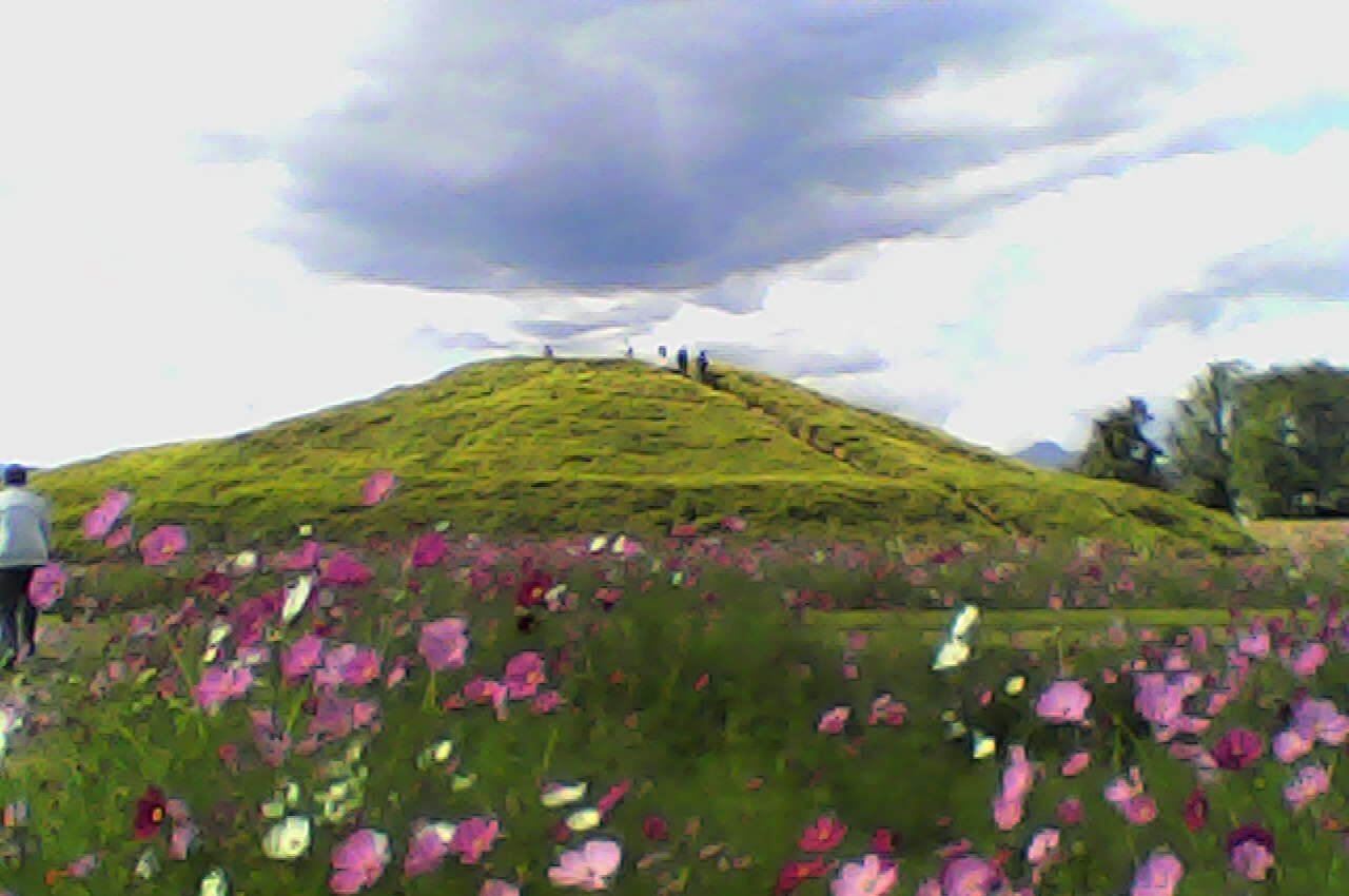 Digital camera，Filter，Pieni M，