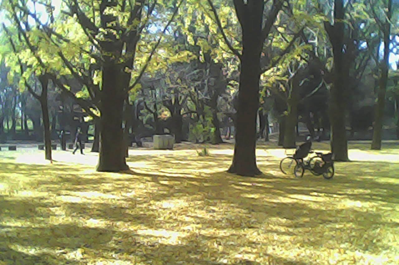 Digital camera，Filter，Pieni M，