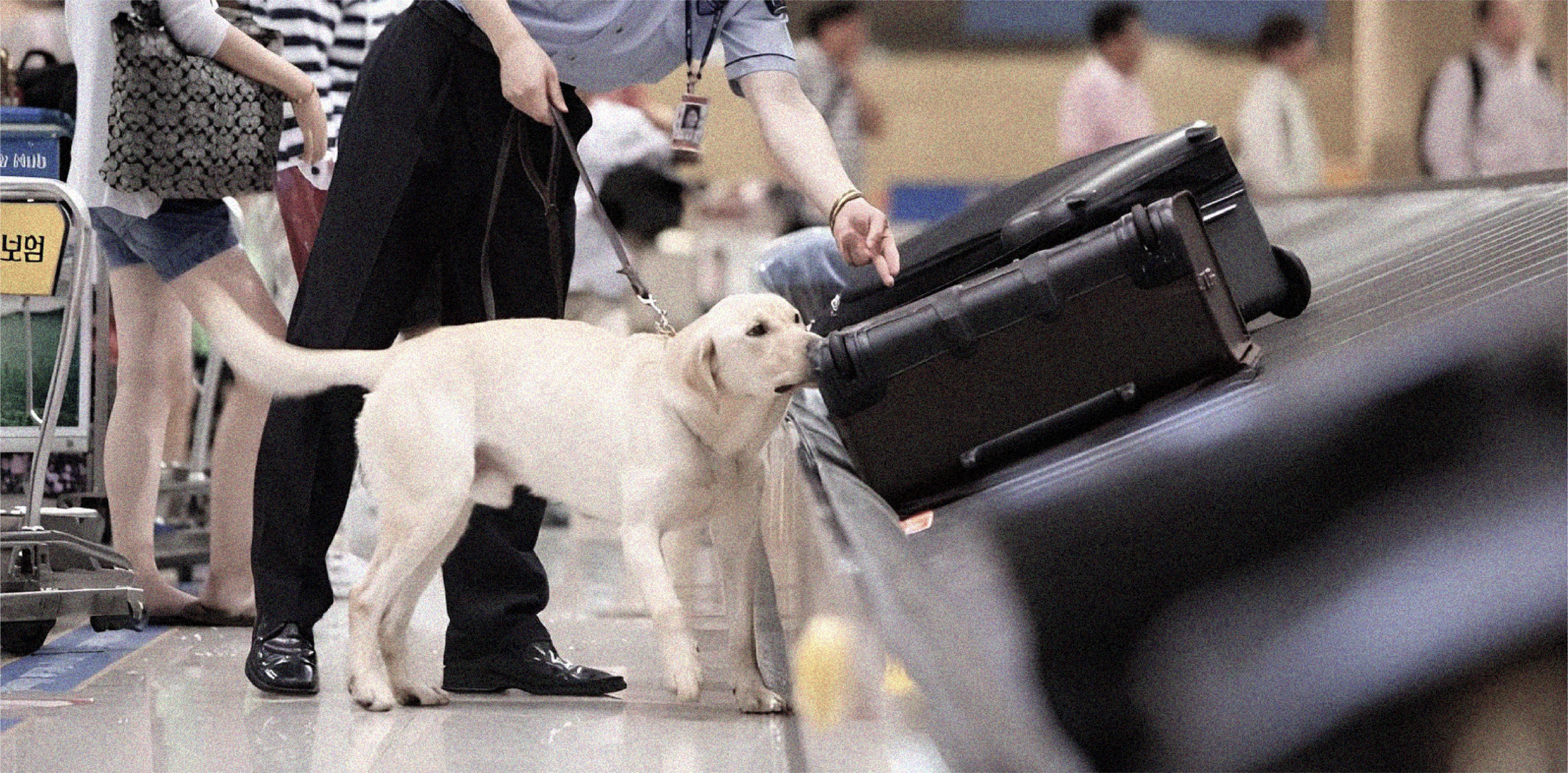 NARC，detector，equipment，multi-function，security，