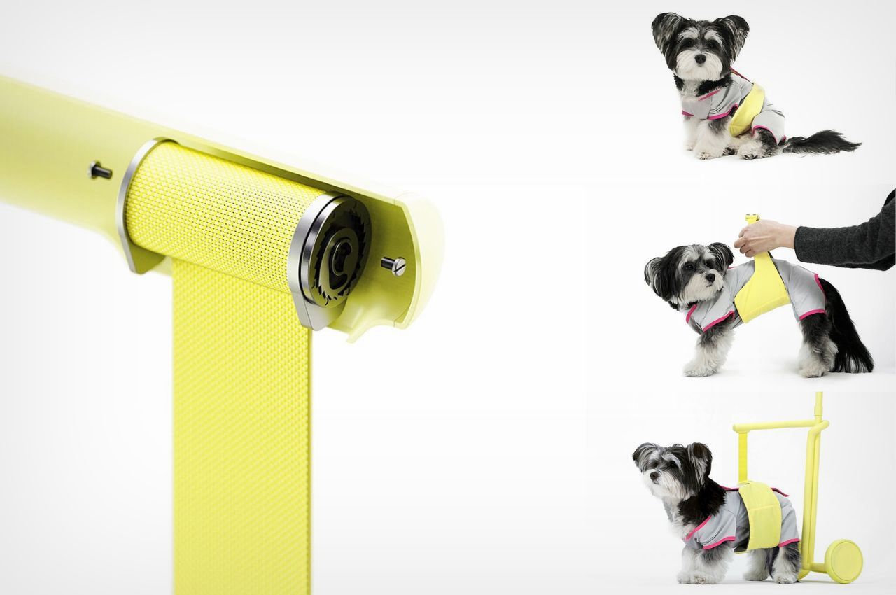 product，product design，Pet Supplies & Pet，Walking aid，Design，Pets，