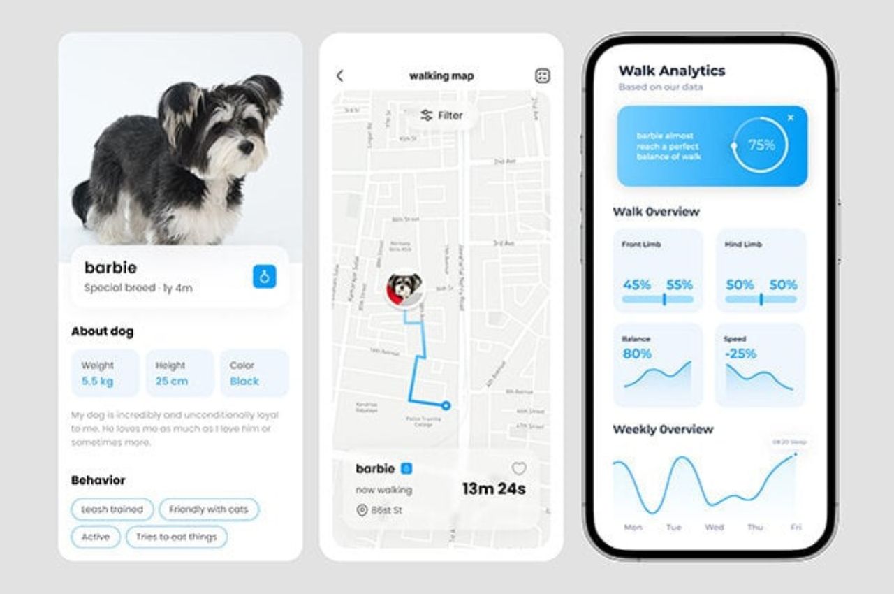 product，product design，Pet Supplies & Pet，Walking aid，Design，Pets，