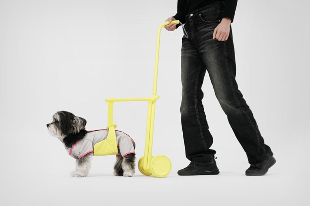 product，product design，Pet Supplies & Pet，Walking aid，Design，Pets，