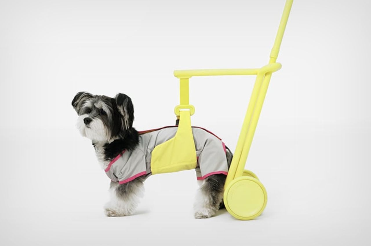product，product design，Pet Supplies & Pet，Walking aid，Design，Pets，