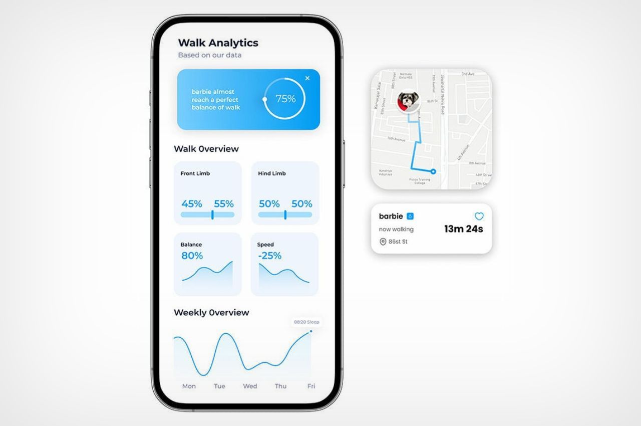 product，product design，Pet Supplies & Pet，Walking aid，Design，Pets，