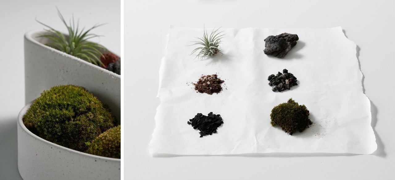 creative gardening，Sustainable design，Natural beauty，Flowerpot，