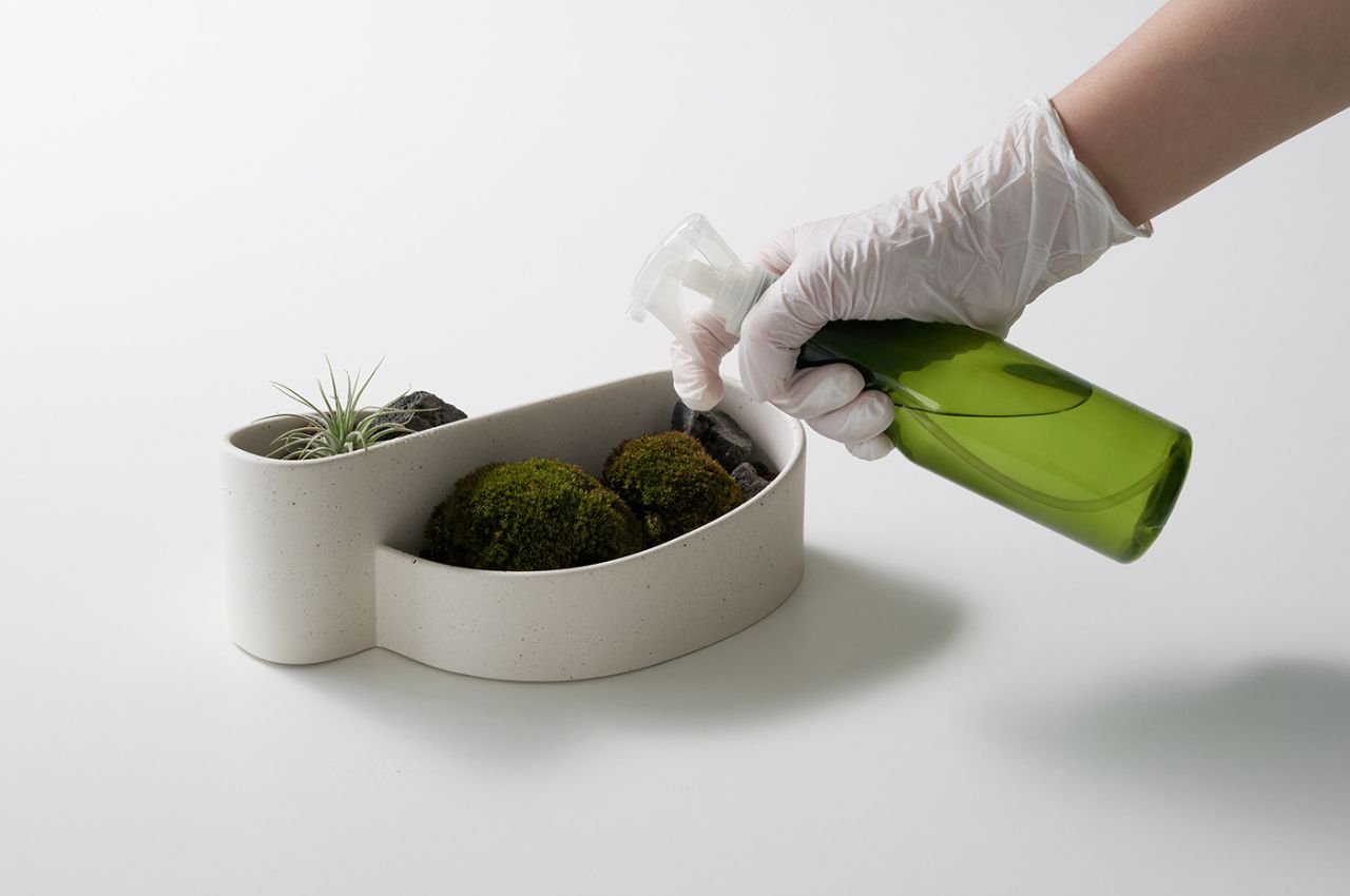 creative gardening，Sustainable design，Natural beauty，Flowerpot，