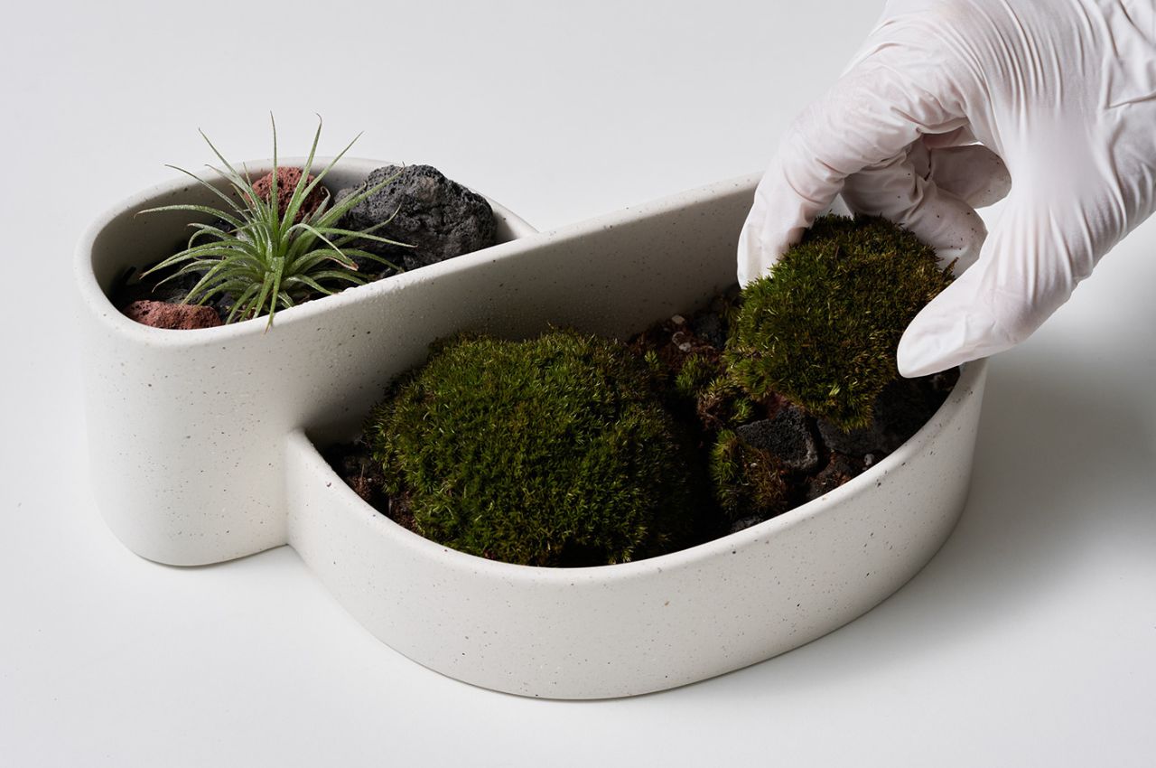 creative gardening，Sustainable design，Natural beauty，Flowerpot，