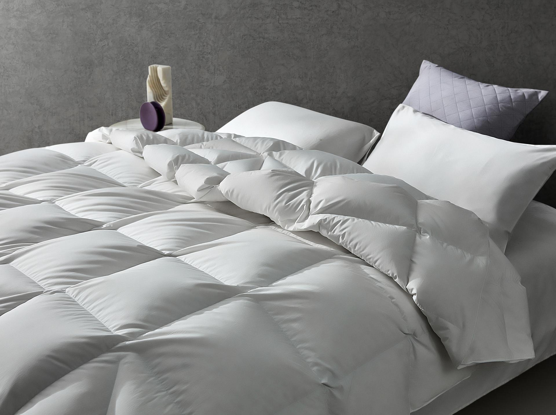 American MUSE，Muse Design Award，Design Award，quilt，