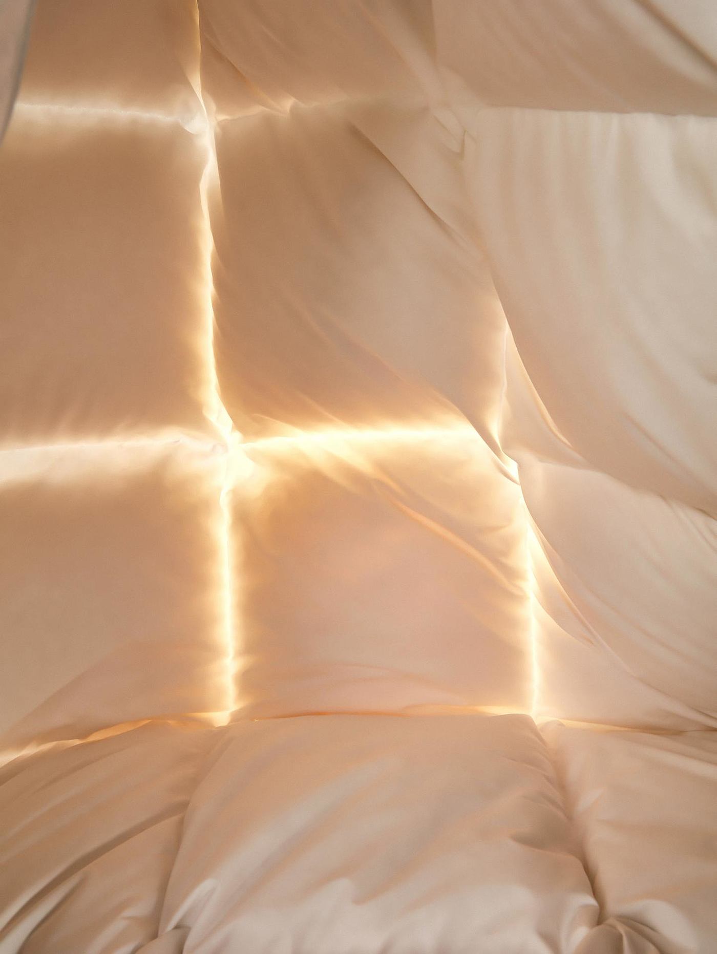 American MUSE，Muse Design Award，Design Award，quilt，