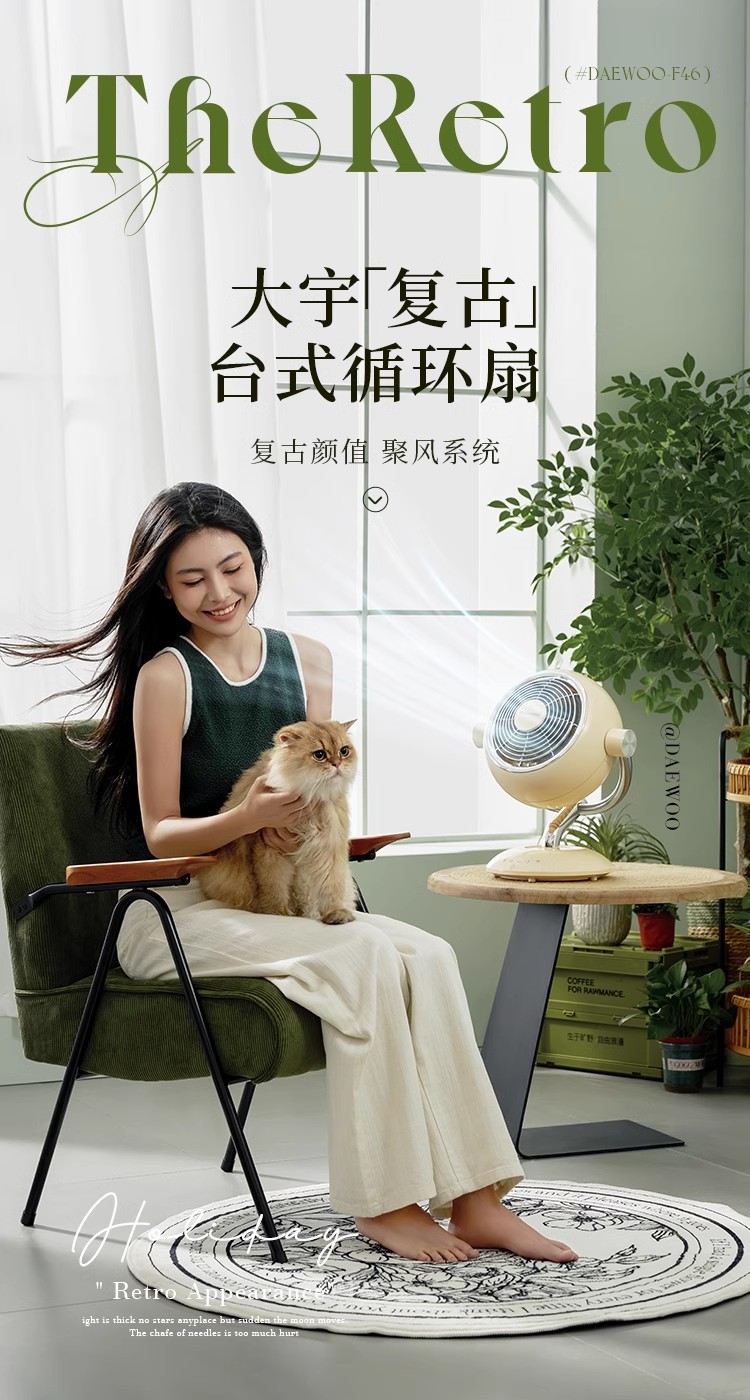 Circulating fan，Daewoo，Air circulation fan，