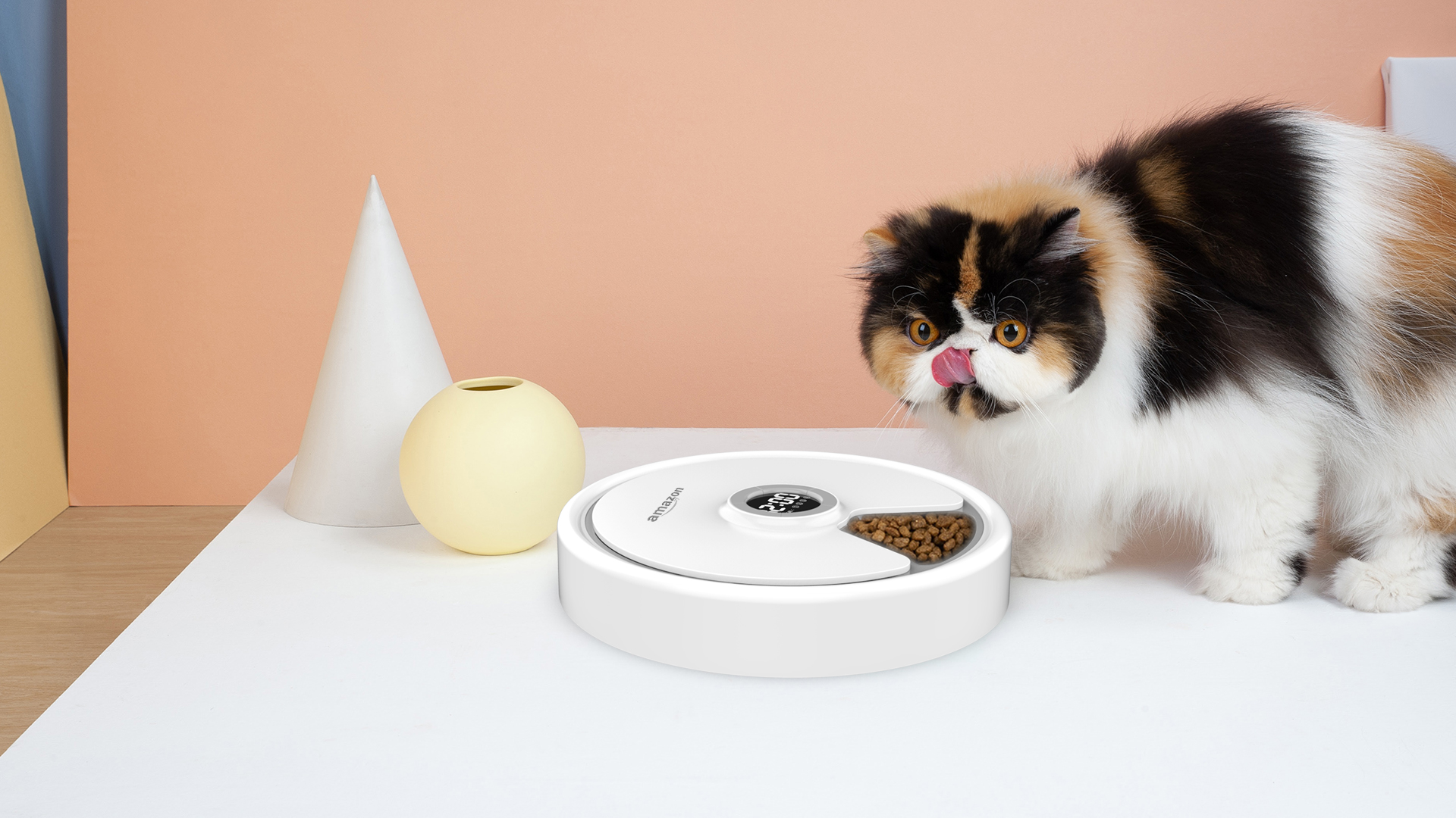 Pet products，Appearance design，