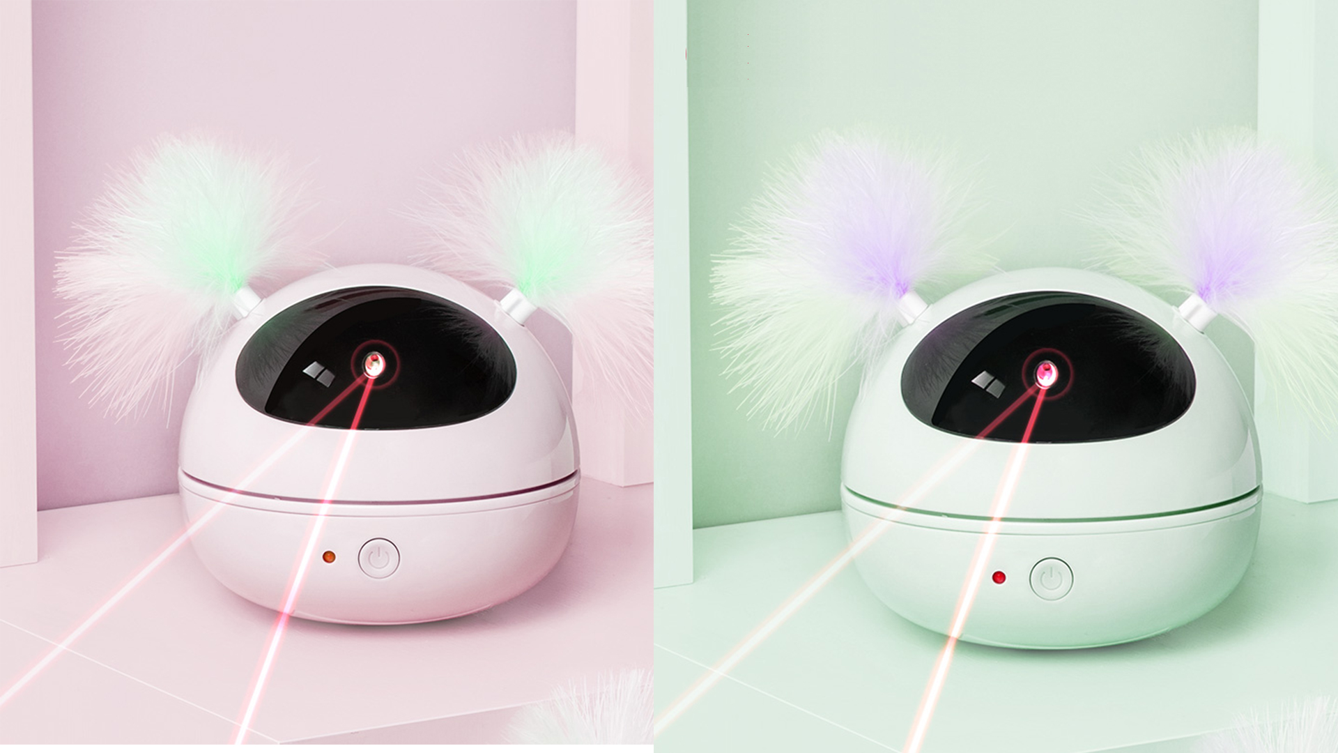 Appearance design，Pet products，Appearance design，