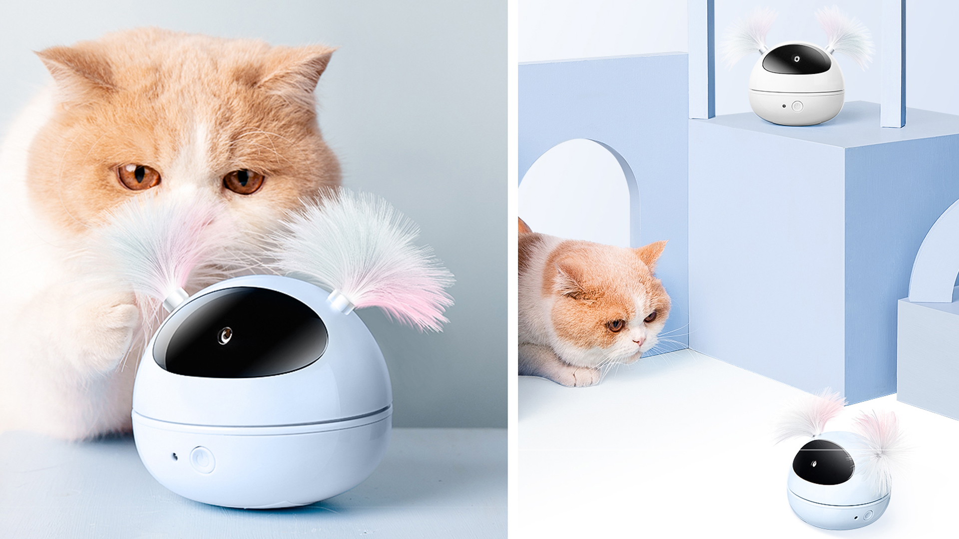 Appearance design，Pet products，Appearance design，