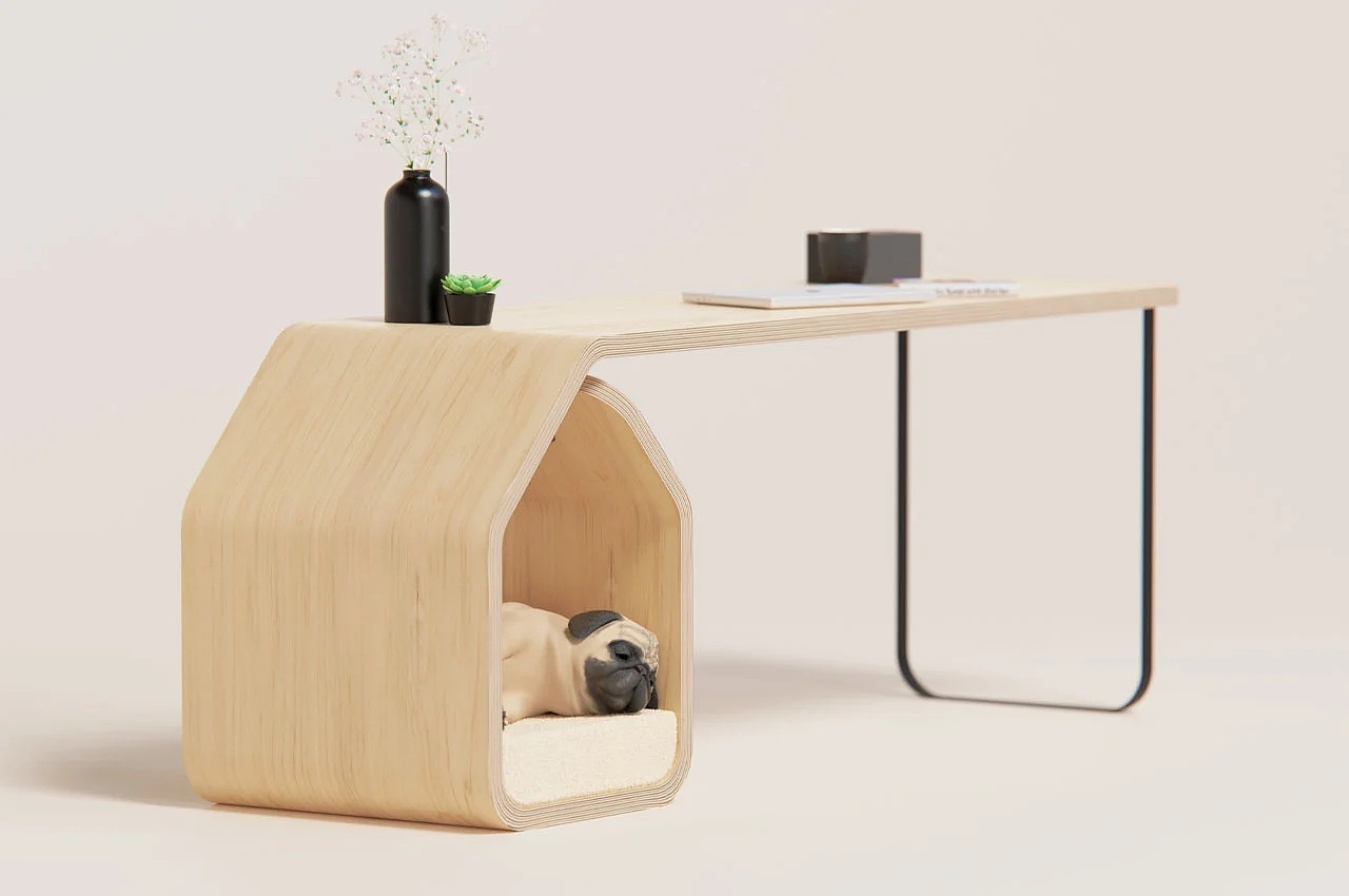 Table，furniture，Pet furniture，originality，