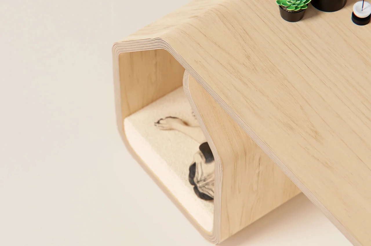 Table，furniture，Pet furniture，originality，