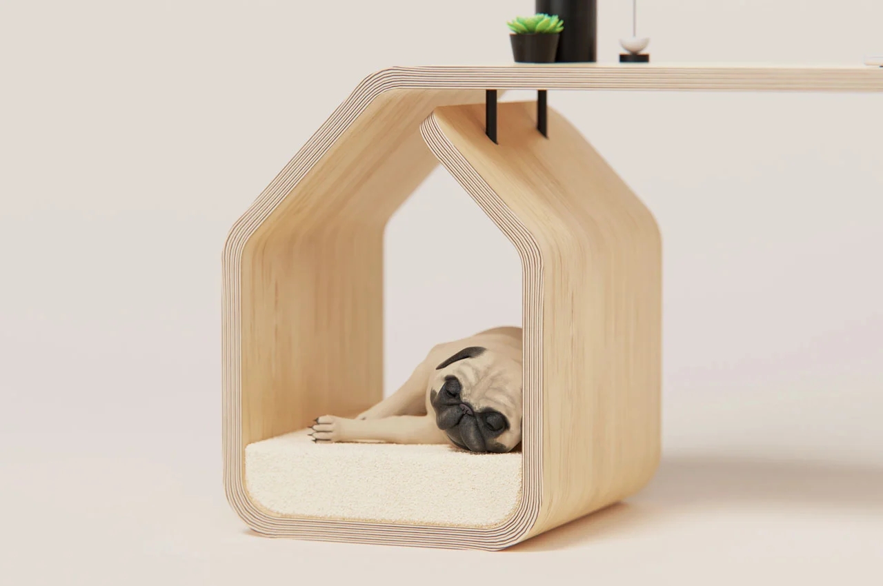 Table，furniture，Pet furniture，originality，