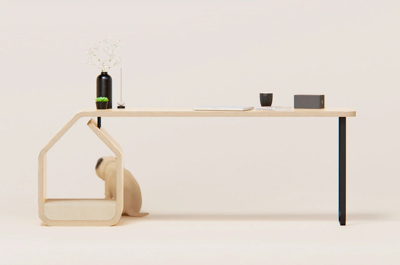 Table，furniture，Pet furniture，originality，