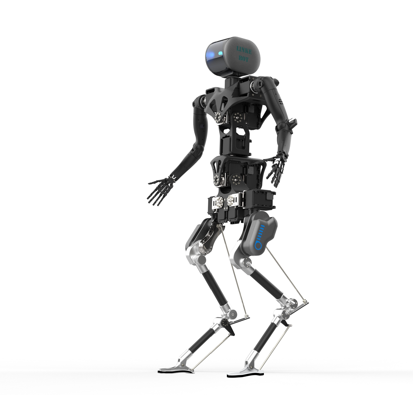 Humanoid robot，Biped，both arms，bionics，science and technology，Tesla，Tucki，Zhihui Jun，
