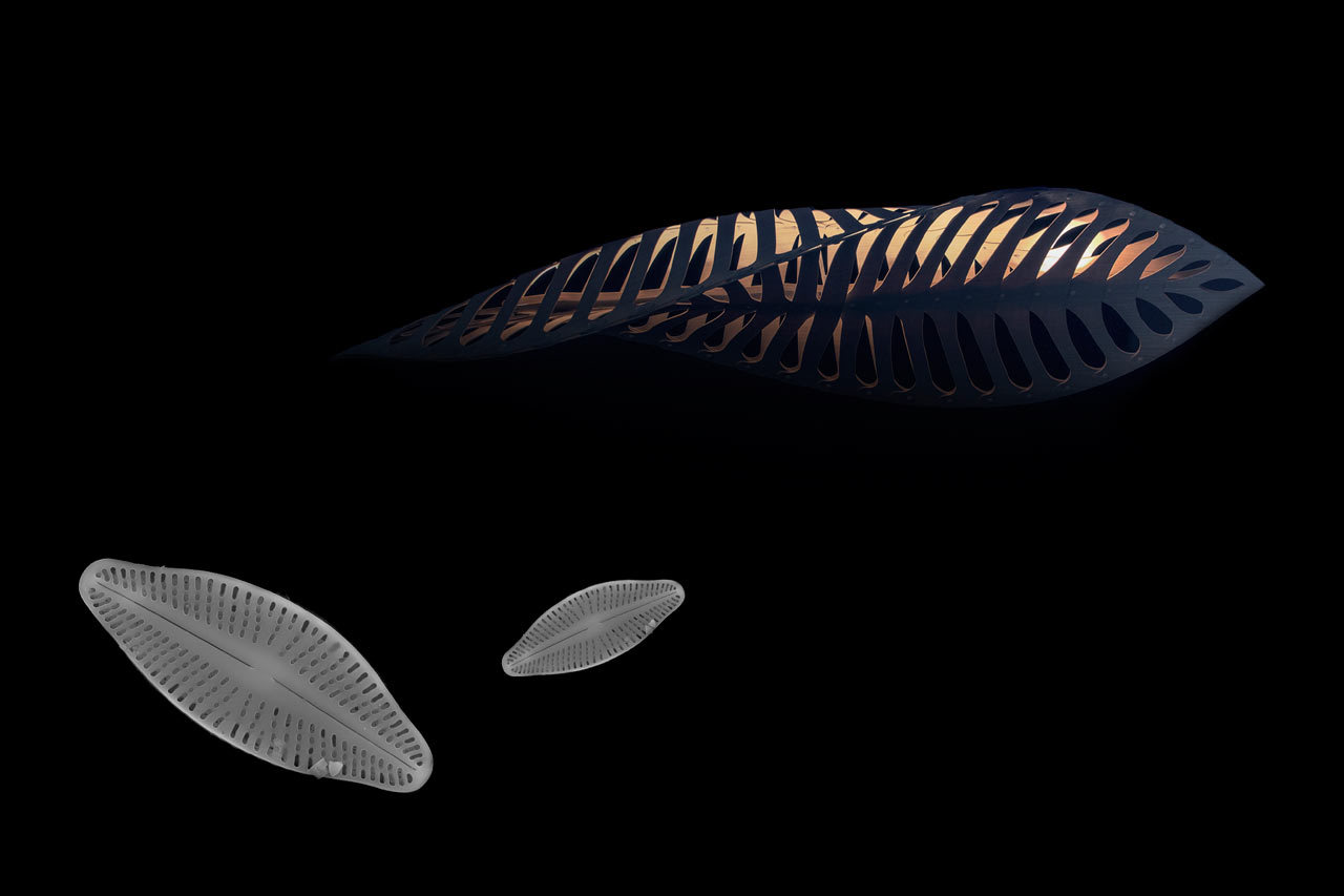 furniture，Home Furnishing，ocean，marine organism，lamp，a chandelier，