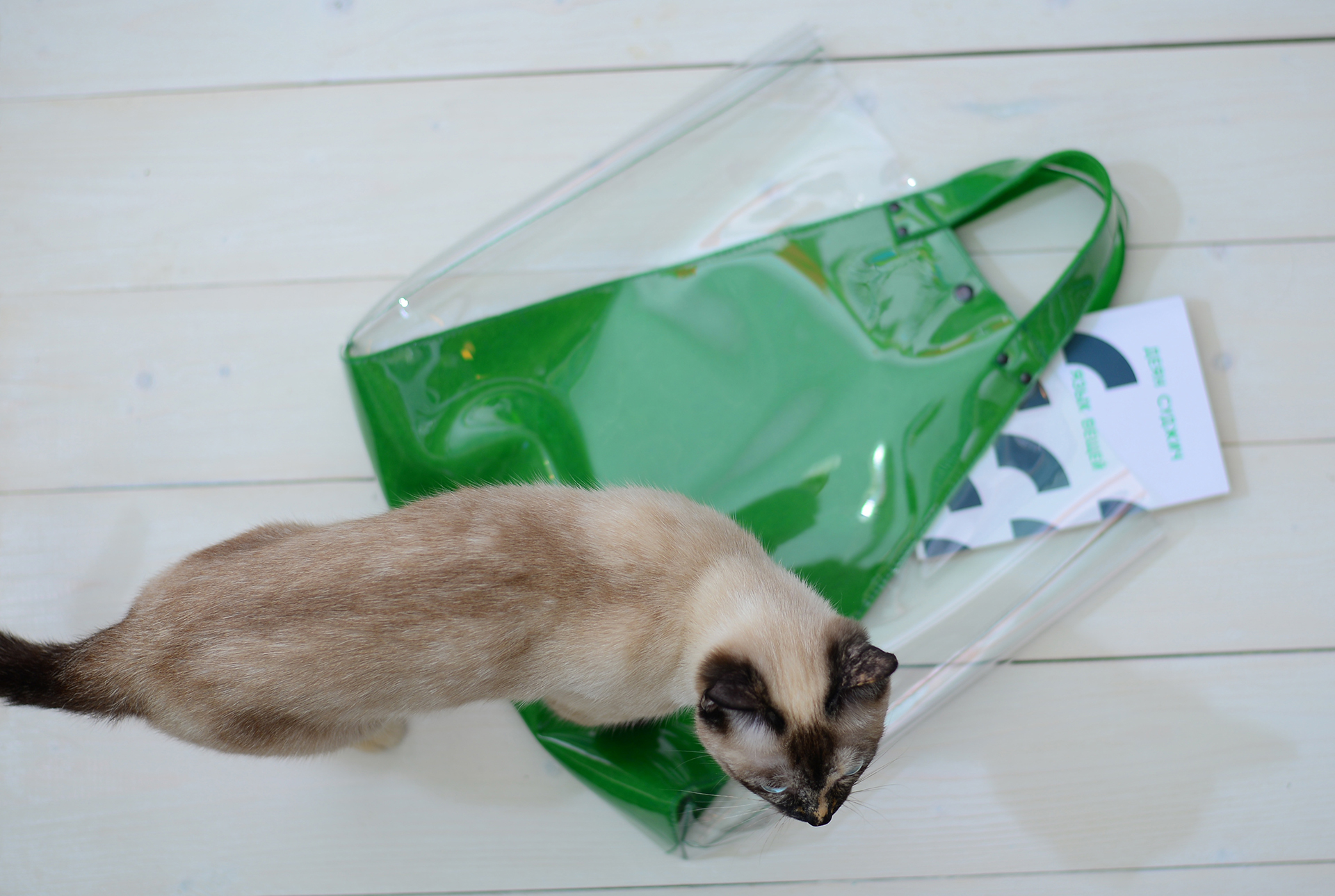 package，Torba Bright，