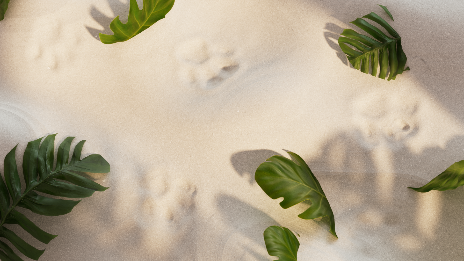 Art，3d，apT，Digital art，Design，