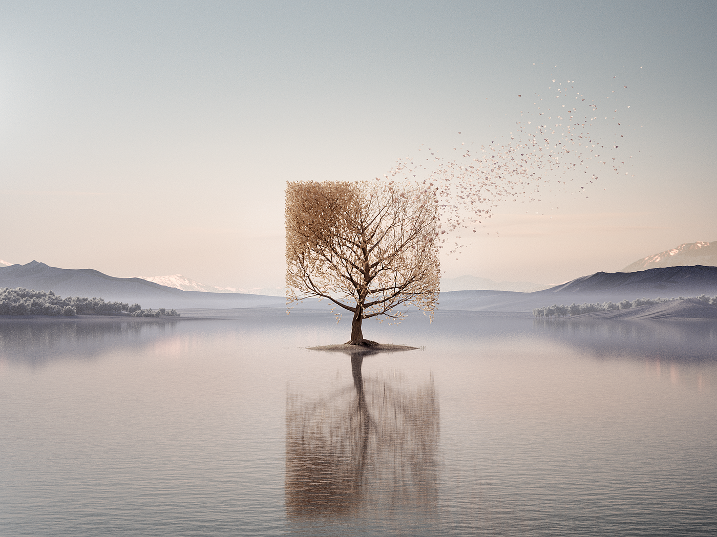 Art，3d，apT，Digital art，Design，