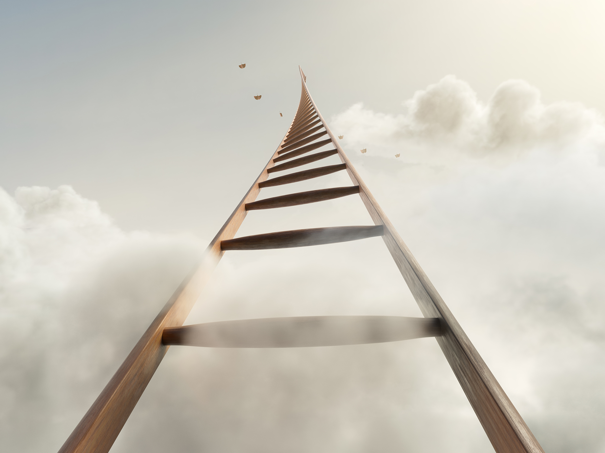 Art，3d，apT，Digital art，Design，