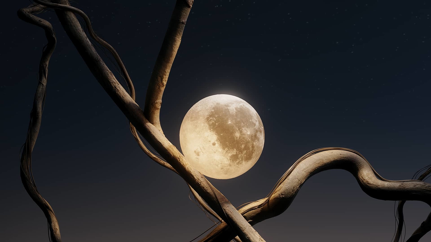 Art，3d，apT，Digital art，Design，