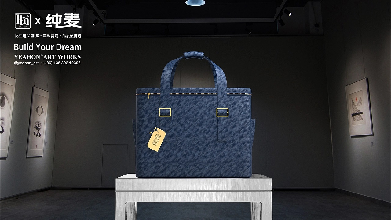 Luggage design，Car audio package design，