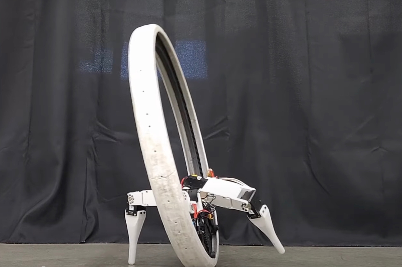 Ringbot，robot，Digital，artificial intelligence，