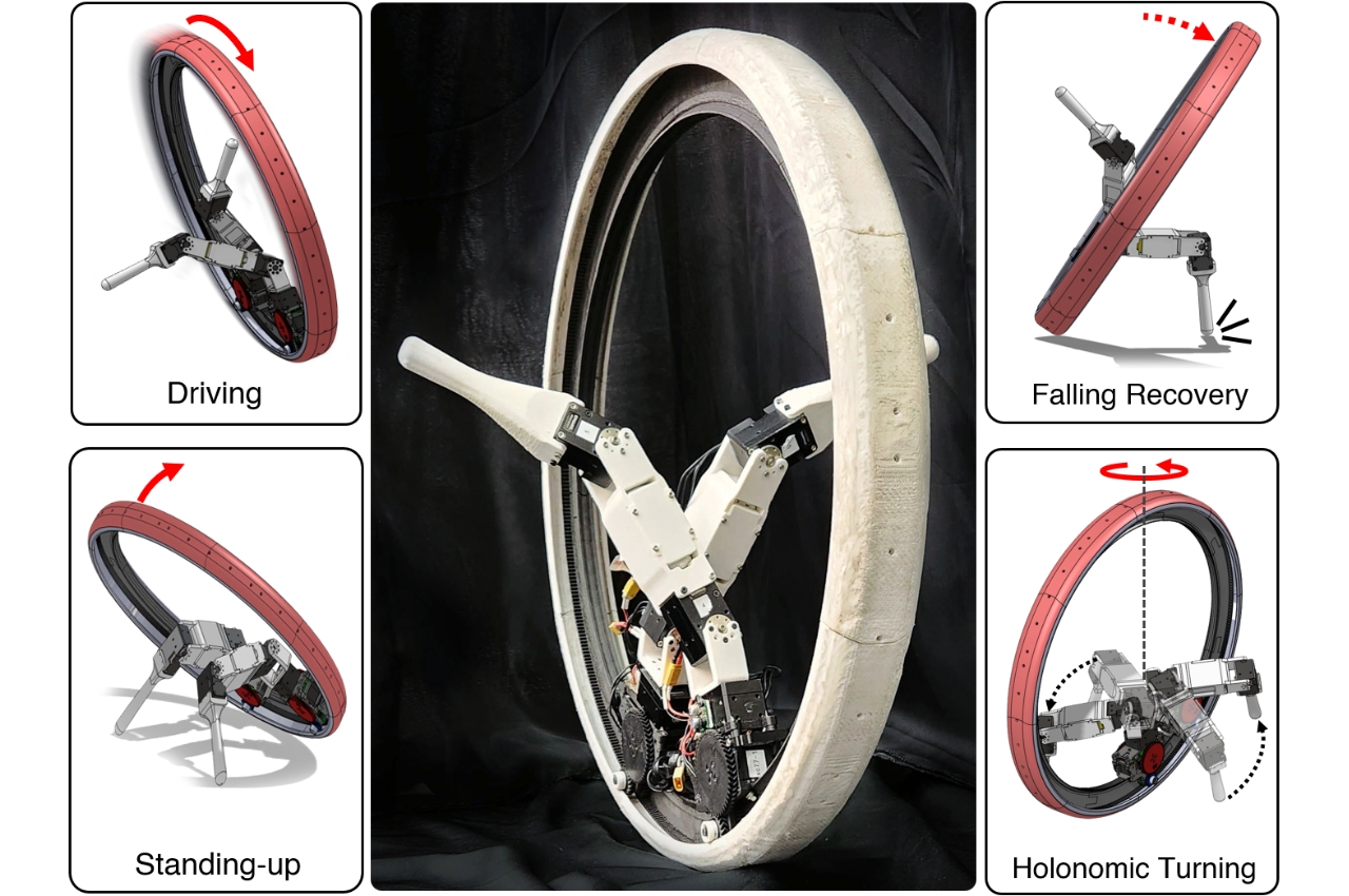 Ringbot，robot，Digital，artificial intelligence，