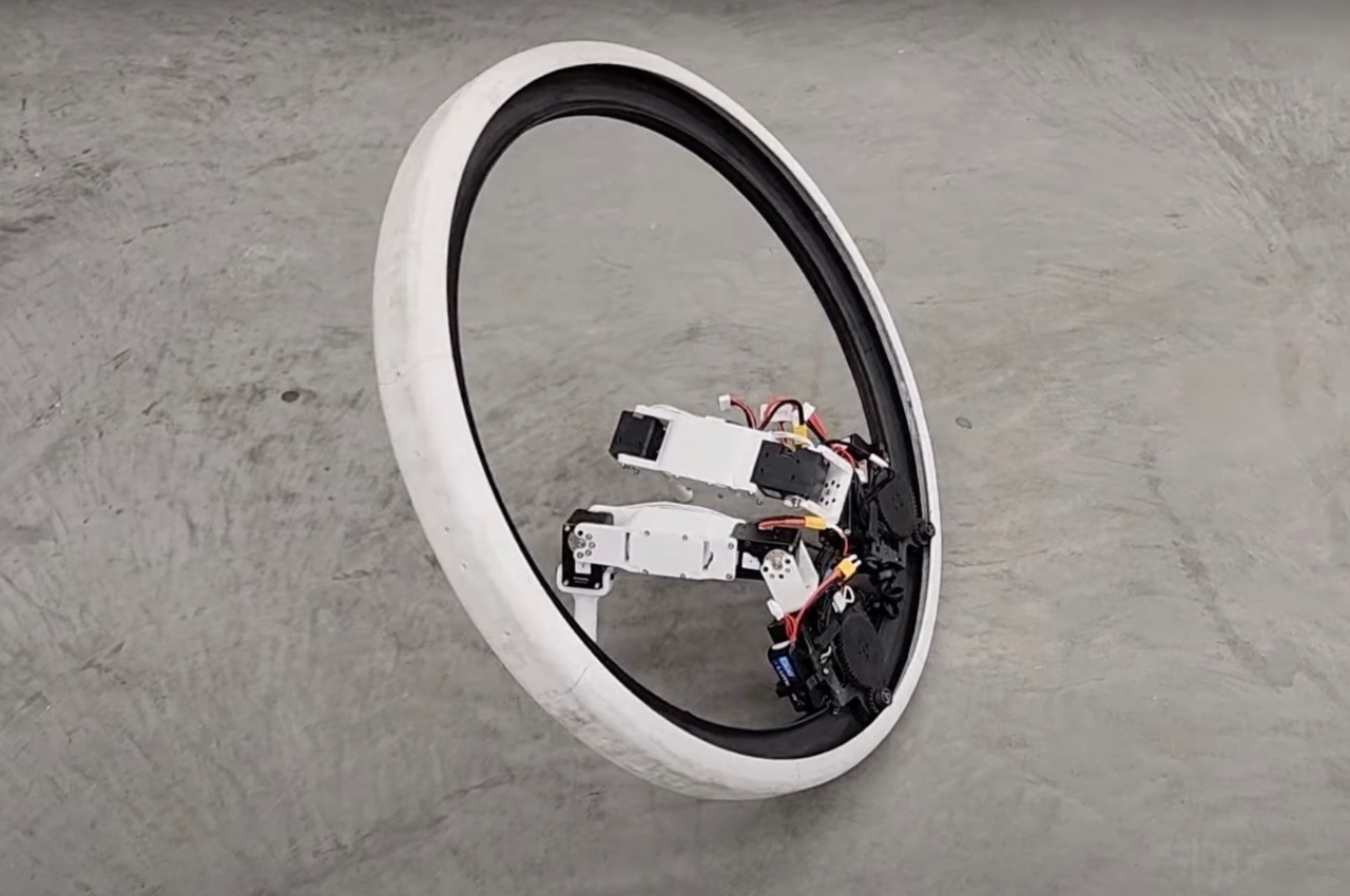 Ringbot，robot，Digital，artificial intelligence，