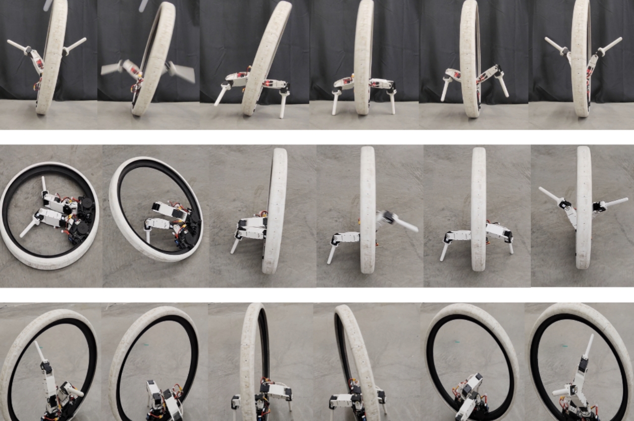 Ringbot，robot，Digital，artificial intelligence，