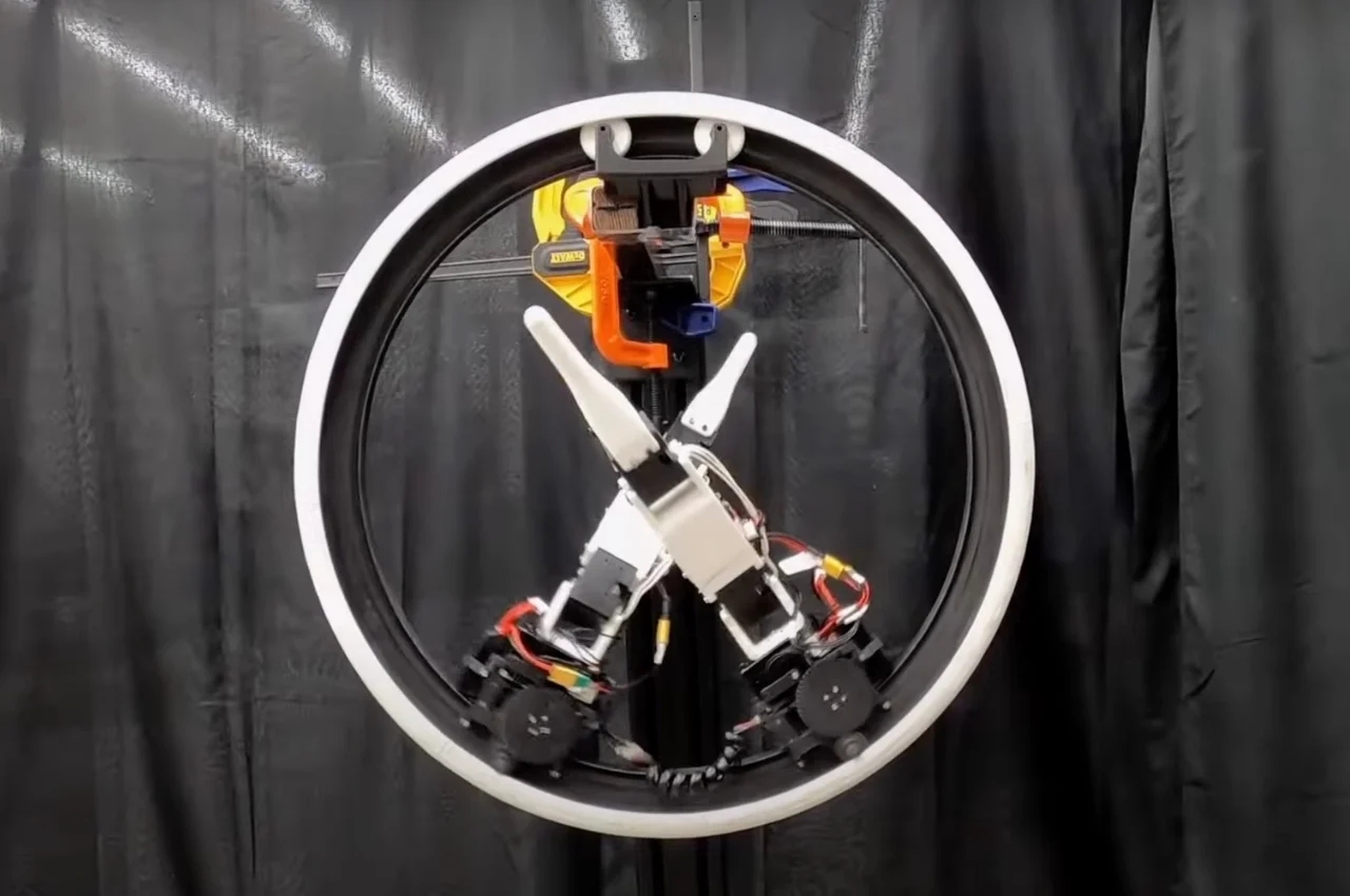 Ringbot，robot，Digital，artificial intelligence，