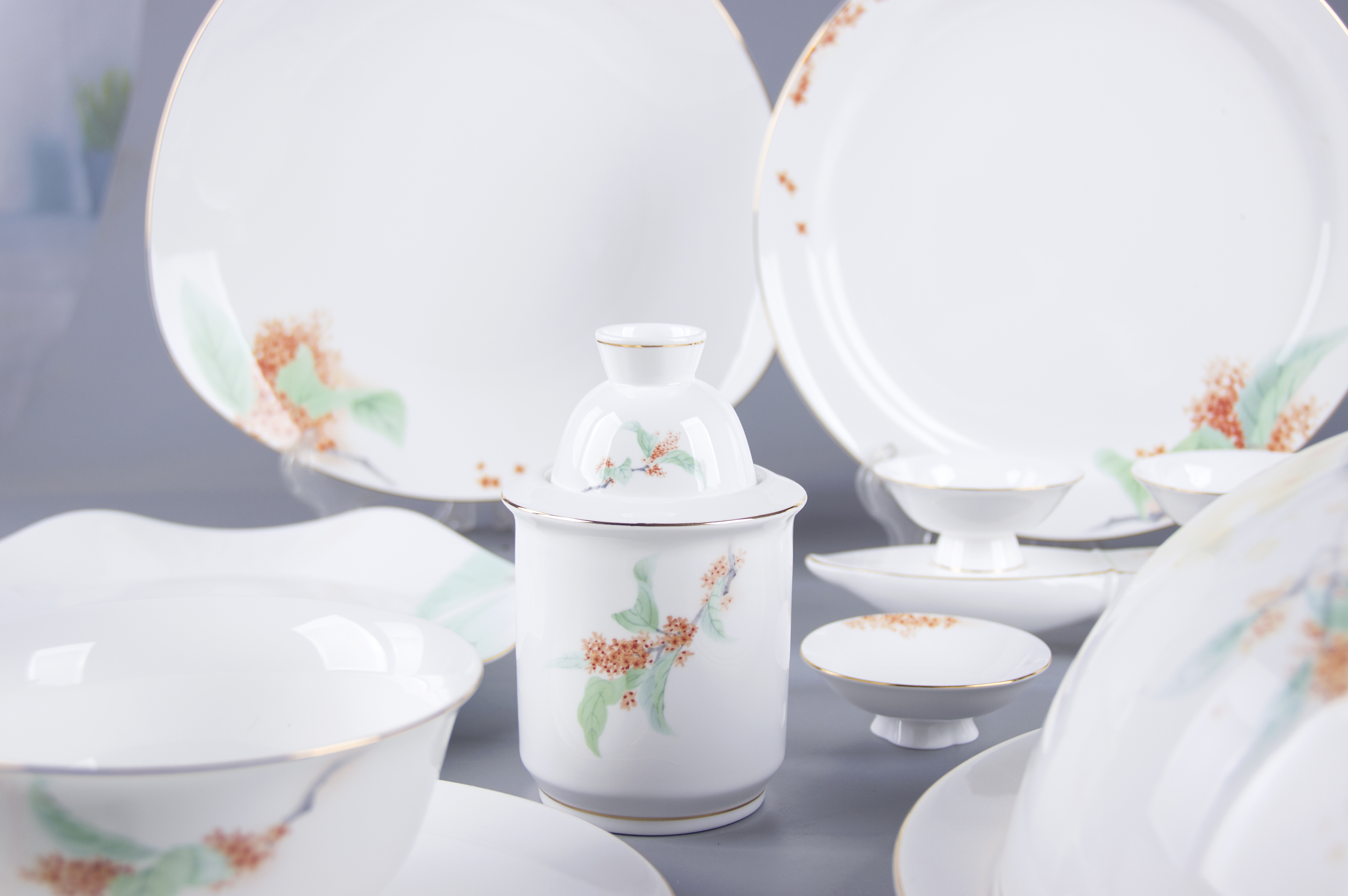 Chinese white，State Banquet Porcelain，tableware，Hangzhou Asian Games，Porcelain Capital Dehua，