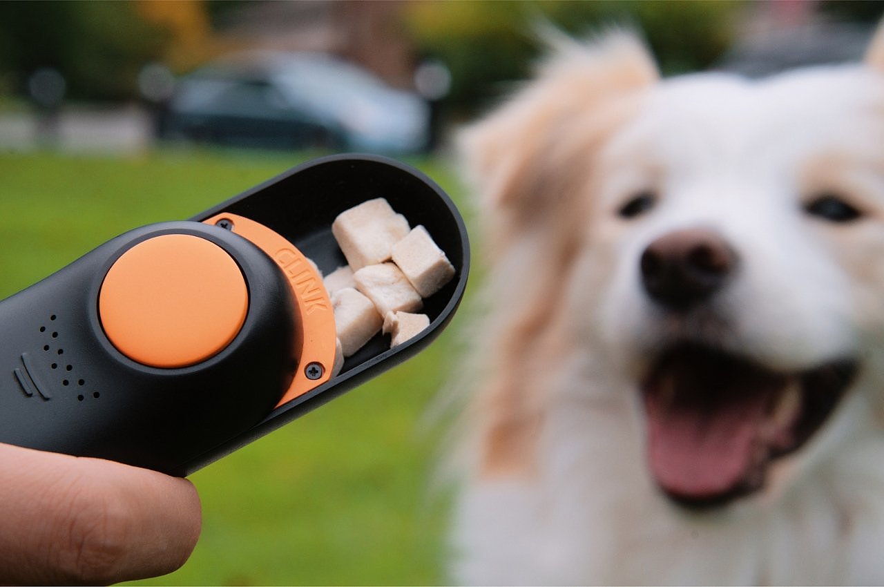 Pets，Trainer，space，storage，equipment，