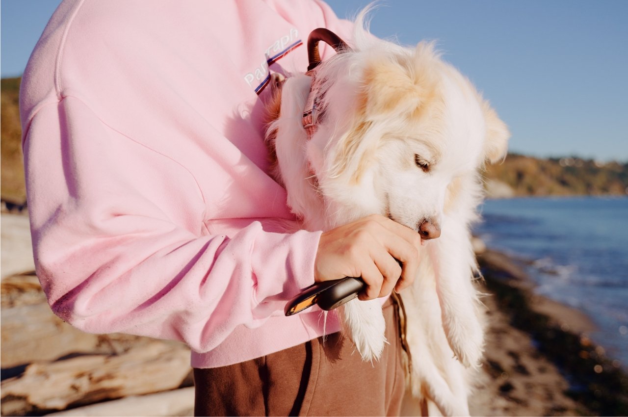 Pets，Trainer，space，storage，equipment，