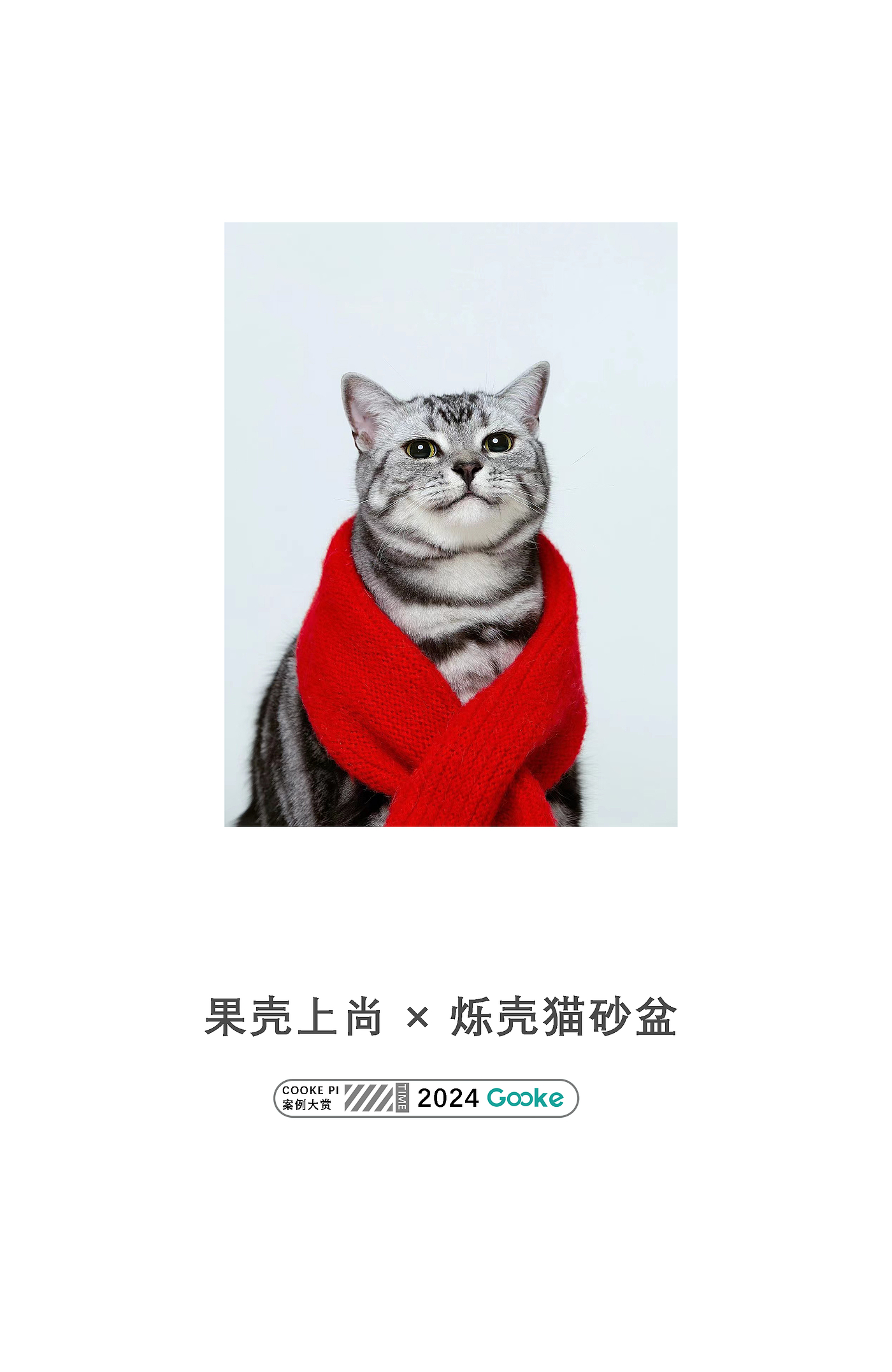 宠物产品，猫砂盆，自动猫砂盆，宠物智能产品，