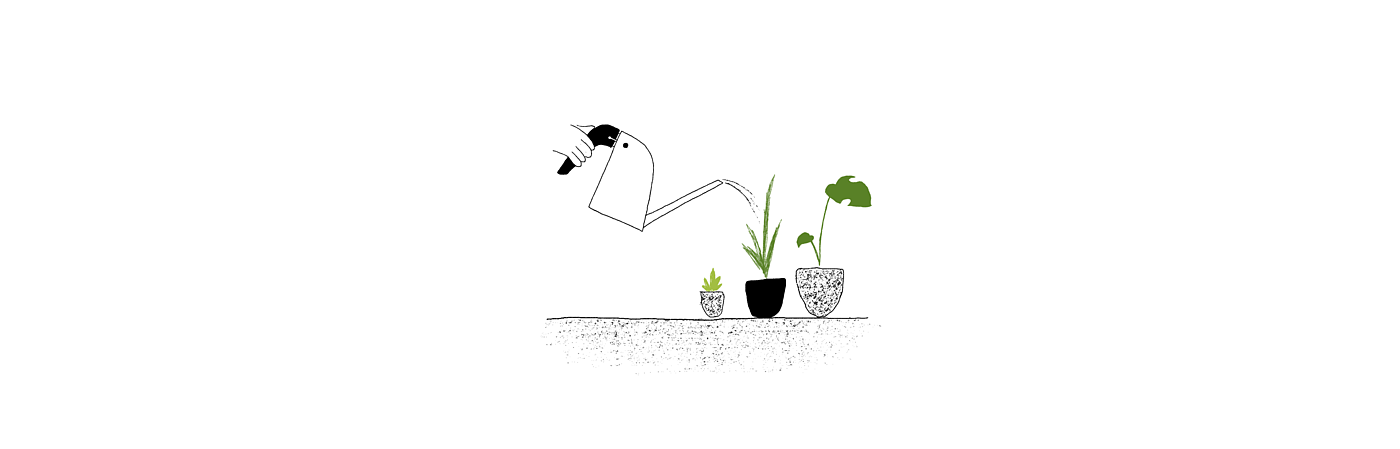 Watering can，Burdy，Bird type，