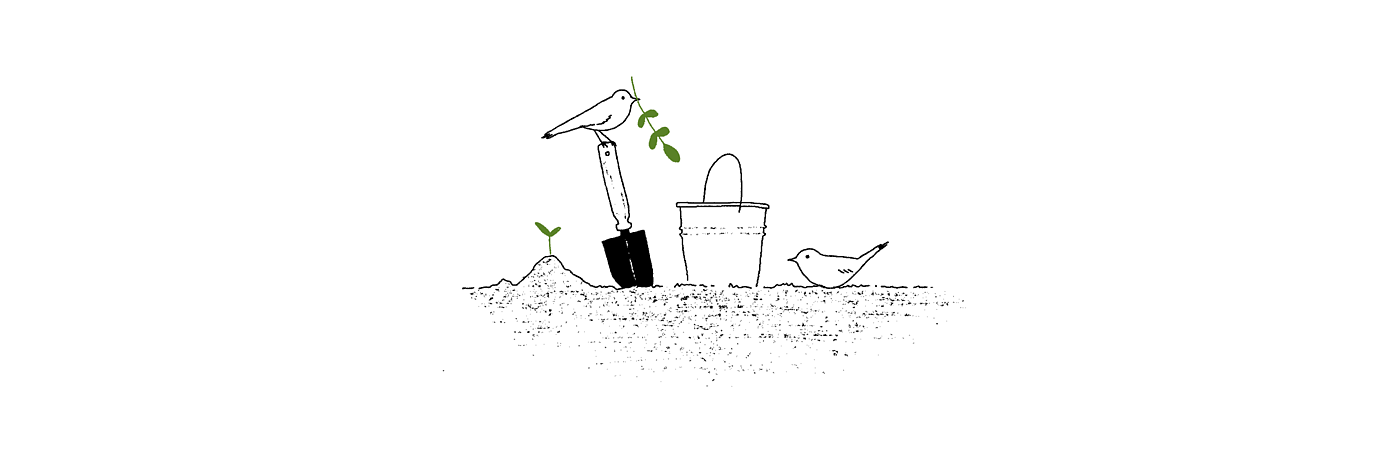 Watering can，Burdy，Bird type，