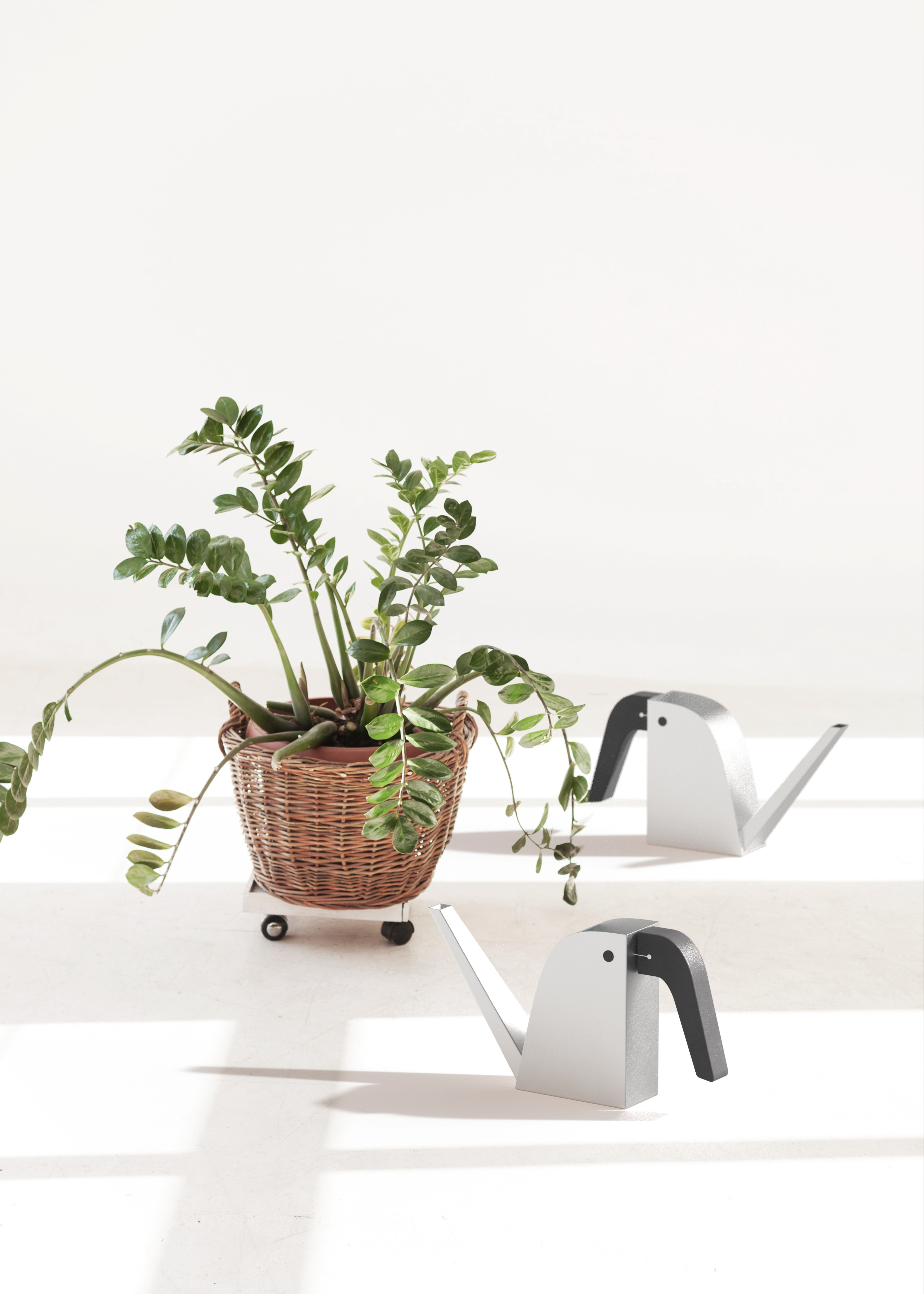 Watering can，Burdy，Bird type，