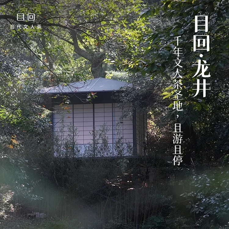 Objective return，China Pavilion，Mu Hui Tea Pavilion，