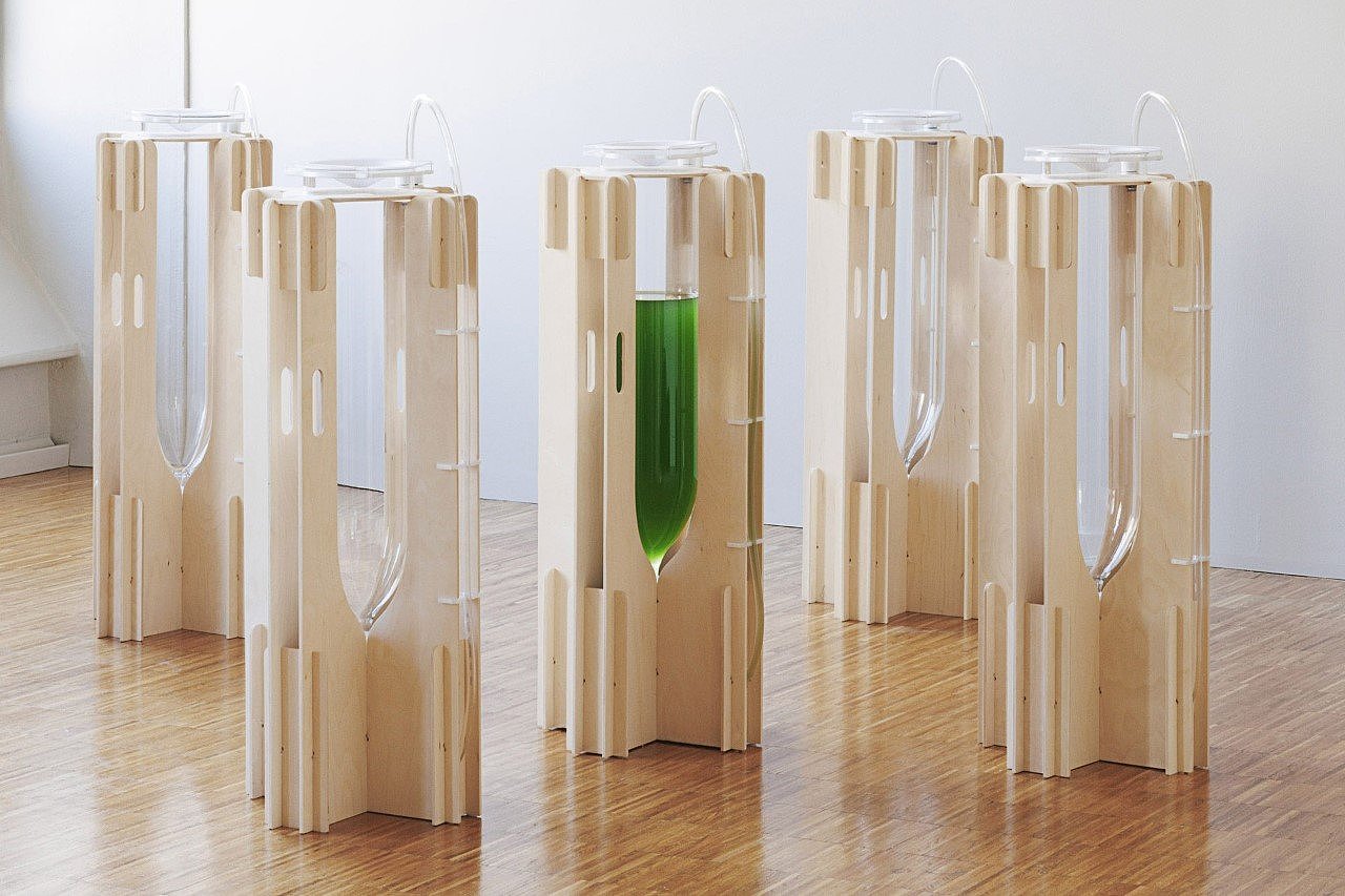 algae，natural，air cleaner，