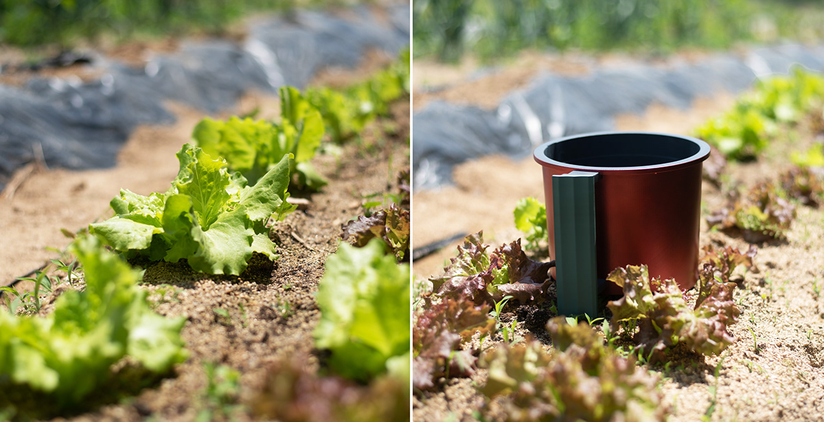 Toggle，sustainable development，Food Composting，product design，