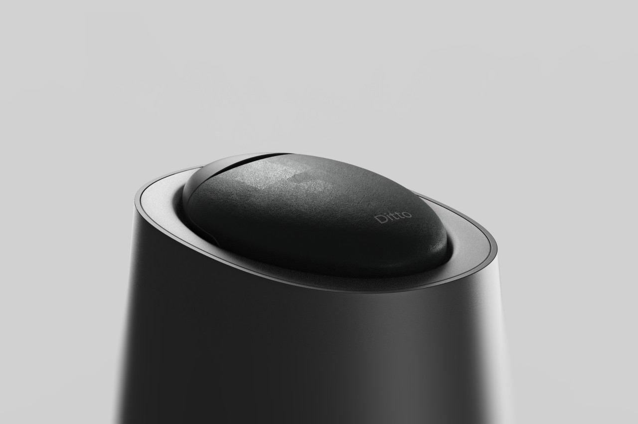 Ditto，camera，travel，