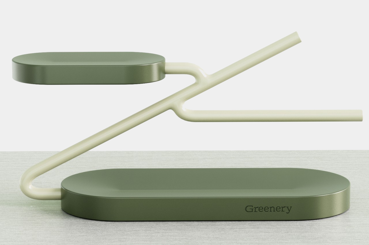 decompression，relax，green，nature，Receive，