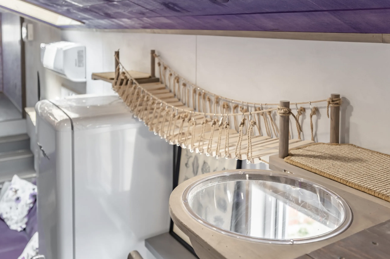 miniature，housing，Purple Heart，rest，purple，