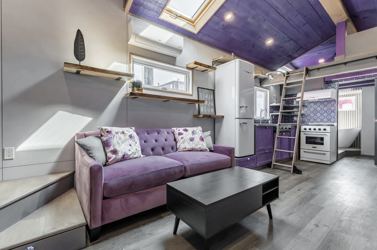 miniature，housing，Purple Heart，rest，purple，